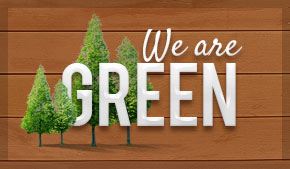 What Does It Mean to Be ‘Green’?