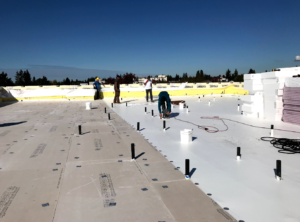 Single-Ply Roof Systems